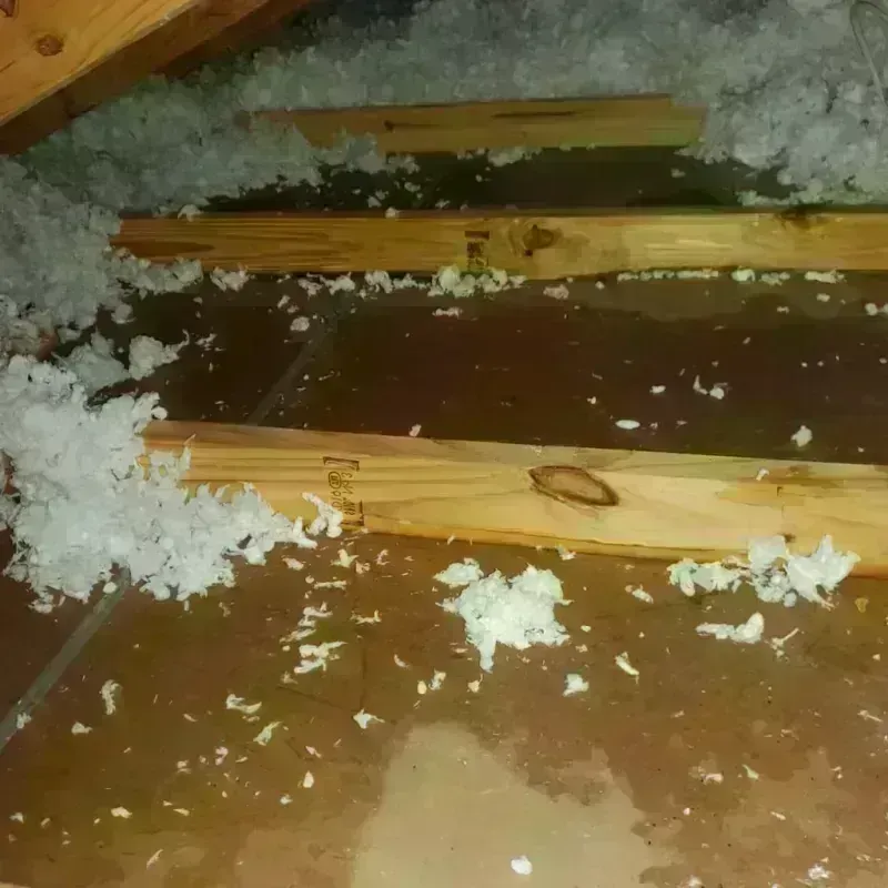 Attic Water Damage in Chicora, PA